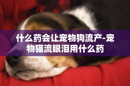 什么藥會讓寵物狗流產-寵物貓流眼淚用什么藥