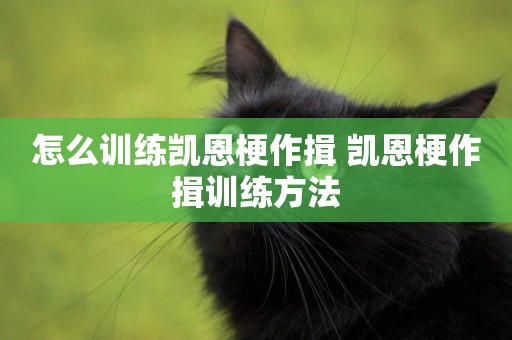 怎么訓練凱恩梗作揖 凱恩梗作揖訓練方法