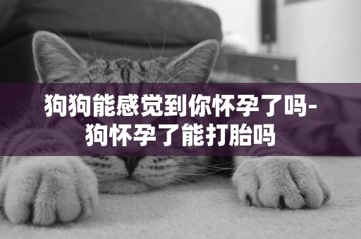 狗狗能感覺到你懷孕了嗎-狗懷孕了能打胎嗎