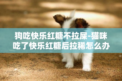 狗吃快樂紅糖不拉屎-貓咪吃了快樂紅糖后拉稀怎么辦