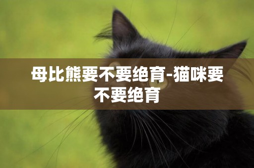 母比熊要不要絕育-貓咪要不要絕育