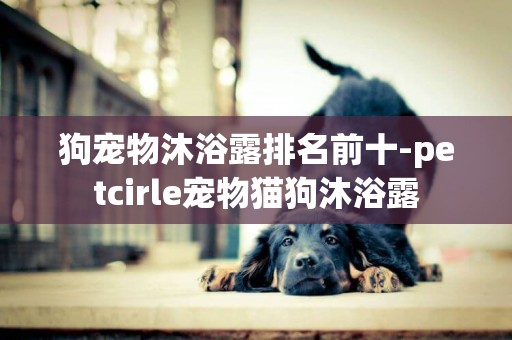 狗寵物沐浴露排名前十-petcirle寵物貓狗沐浴露