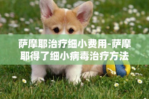薩摩耶治療細小費用-薩摩耶得了細小病毒治療方法