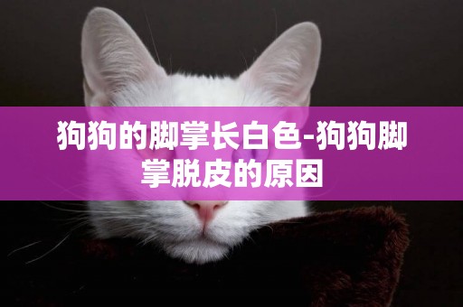 狗狗的腳掌長白色-狗狗腳掌脫皮的原因