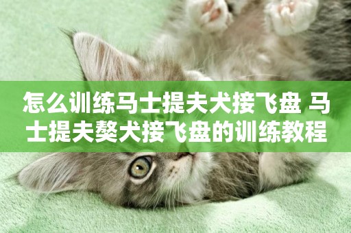 怎么訓練馬士提夫犬接飛盤 馬士提夫獒犬接飛盤的訓練教程