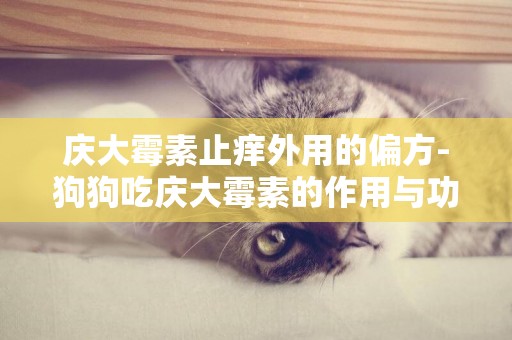慶大霉素止癢外用的偏方-狗狗吃慶大霉素的作用與功效