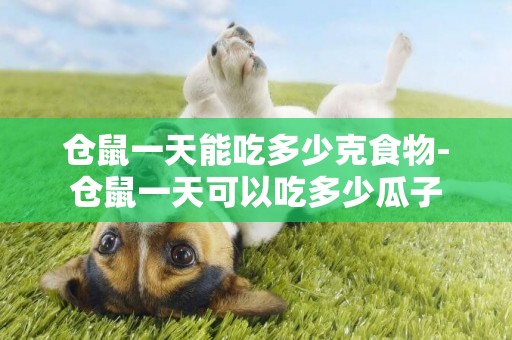 倉鼠一天能吃多少克食物-倉鼠一天可以吃多少瓜子