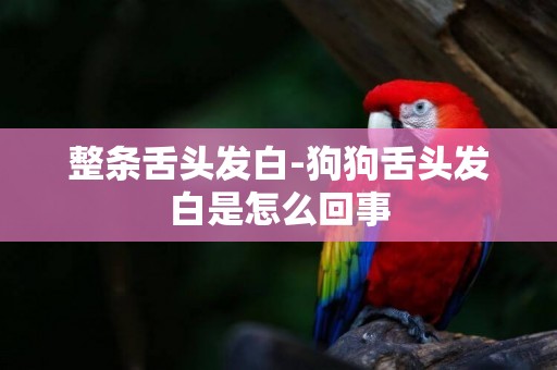 整條舌頭發白-狗狗舌頭發白是怎么回事