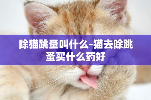 除貓跳蚤叫什么-貓去除跳蚤買什么藥好