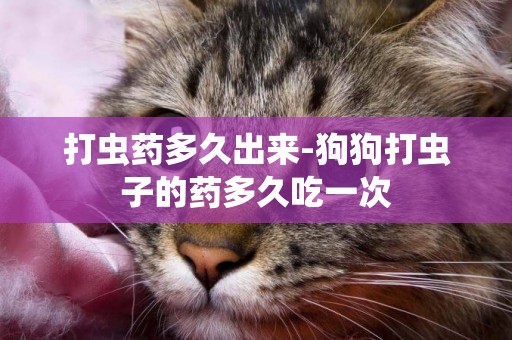 打蟲藥多久出來-狗狗打蟲子的藥多久吃一次