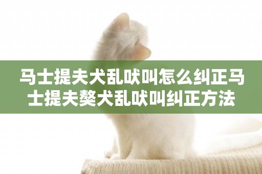 馬士提夫犬亂吠叫怎么糾正馬士提夫獒犬亂吠叫糾正方法