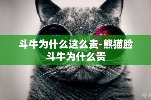 斗牛為什么這么貴-熊貓臉斗牛為什么貴