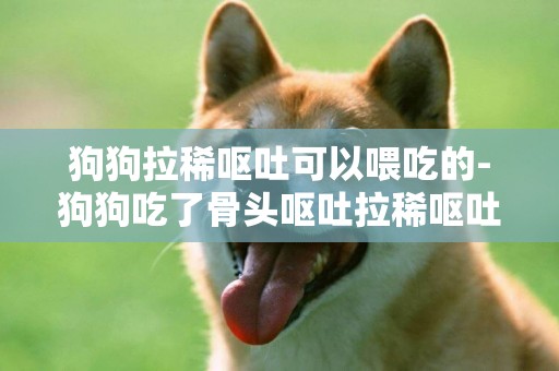 狗狗拉稀嘔吐可以喂吃的-狗狗吃了骨頭嘔吐拉稀嘔吐怎么辦