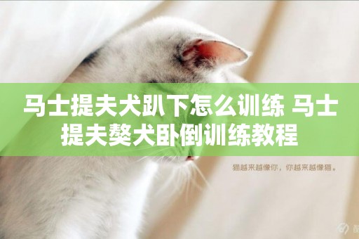 馬士提夫犬趴下怎么訓練 馬士提夫獒犬臥倒訓練教程