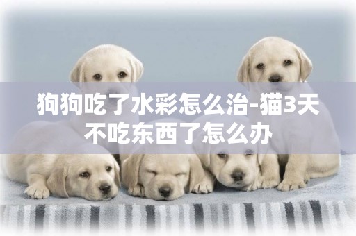狗狗吃了水彩怎么治-貓3天不吃東西了怎么辦