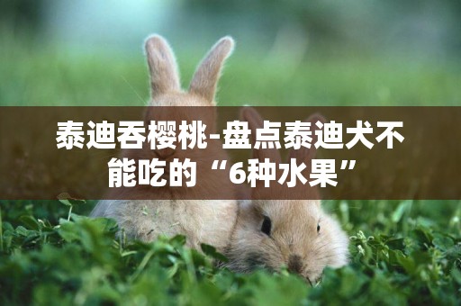 泰迪吞櫻桃-盤點泰迪犬不能吃的“6種水果”
