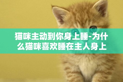 貓咪主動到你身上睡-為什么貓咪喜歡睡在主人身上