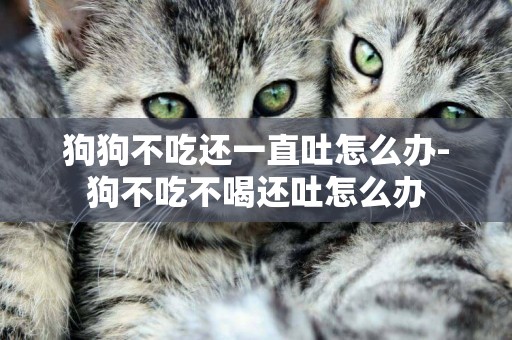 狗狗不吃還一直吐怎么辦-狗不吃不喝還吐怎么辦