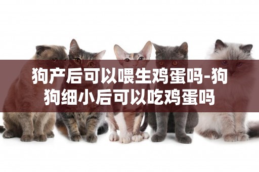 狗產后可以喂生雞蛋嗎-狗狗細小后可以吃雞蛋嗎