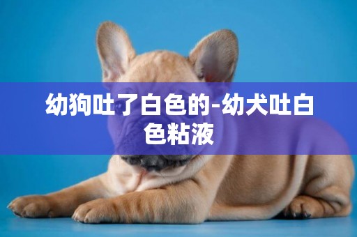 幼狗吐了白色的-幼犬吐白色粘液
