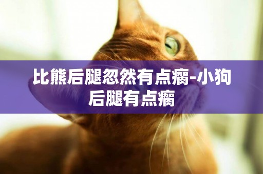 比熊后腿忽然有點瘸-小狗后腿有點瘸