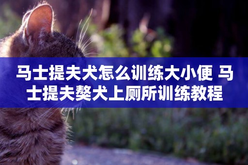 馬士提夫犬怎么訓練大小便 馬士提夫獒犬上廁所訓練教程