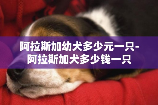 阿拉斯加幼犬多少元一只-阿拉斯加犬多少錢一只