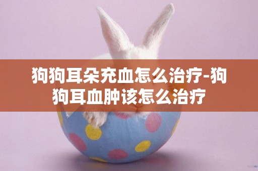 狗狗耳朵充血怎么治療-狗狗耳血腫該怎么治療