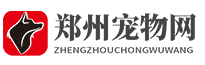 寵物網